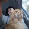 Cousin Shrimps's profile picture