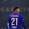 محمد's profile picture