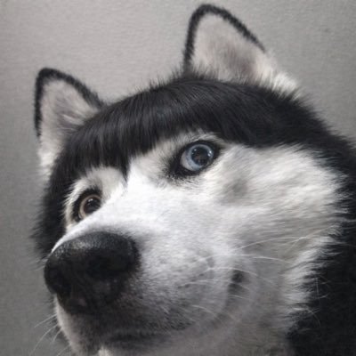 siriwanelppp's profile picture