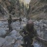 Nikolai's profile picture
