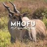 Фото профиля mhofu Yemukono