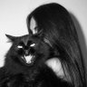 Profilbild von Rey