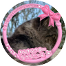 ぱるむ👼🎀🤍🐹🩵🍼🌷🐢💞 profil fotoğrafı