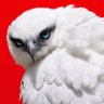 𝔹𝕣𝕒𝕧𝕖𝕙𝕖𝕒𝕣𝕥𓅃's profile picture
