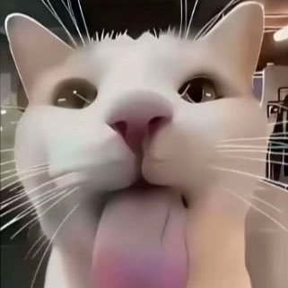 Bin_Bin's profile picture