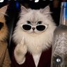 oya profil fotoğrafı