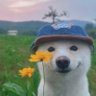 Barney Stinson's profile picture