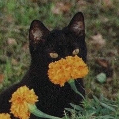 bionic_ooze's profile picture