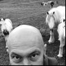 Seán Gibson's profile picture