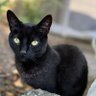 Benji Donahue profil fotoğrafı