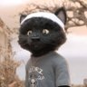 minecraftkaas's profile picture