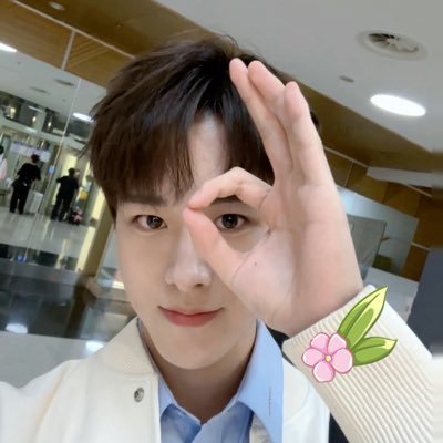 xinxin_d16's profile picture