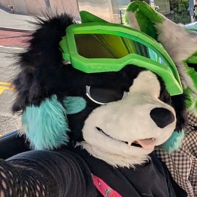 BlizzAfterBark's profile picture