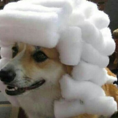 วษuO สวแดฮ's profile picture