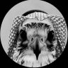 سلطان's profile picture