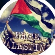 Doctor MMA 🇵🇸's profile picture