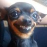 Profilbild von Activity_SuperNormal