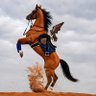 Фото профиля خـدَنْ