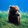Simeon Fritter's profile picture