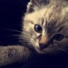 Profilbild von laro506