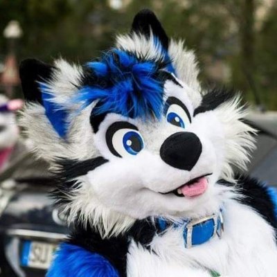 Shilo's profile picture