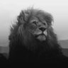𝐀𝐥-𝐇𝐚𝐫𝐛𝐢. profil fotoğrafı
