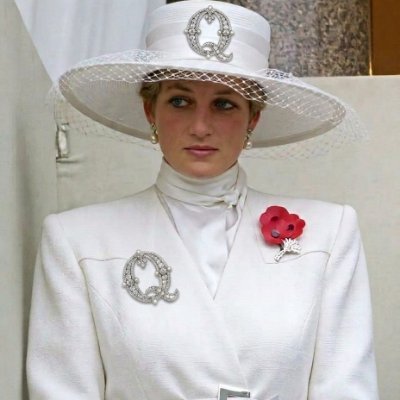 Princess Diana RVQ's profile picture