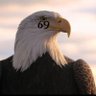 Фото профиля EAGLE69