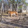 Фото профиля Tom