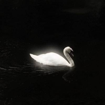 RS's profile picture