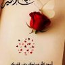 علي الشهراني's profile picture