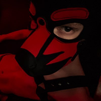 MassiveMuzzle's profile picture