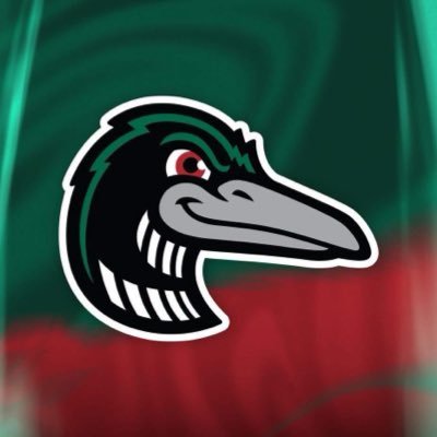 greatlakesloons's profile picture
