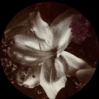 iiii_12g's profile picture