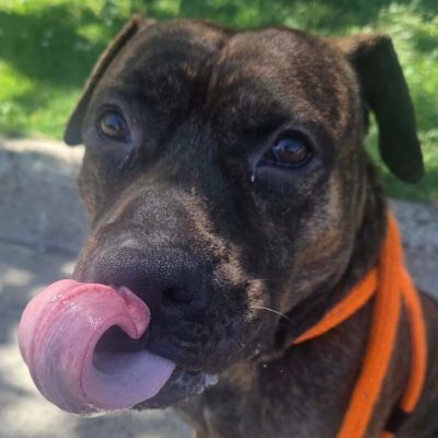NMBewitched's profile picture