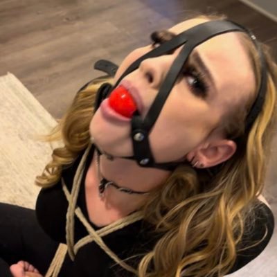 screamforsir's profile picture