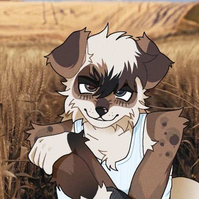 hifihound's profile picture