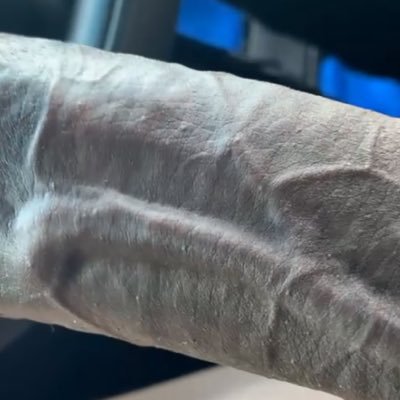 kingsizesnickrz's profile picture
