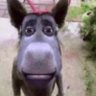 gusta profil fotoğrafı