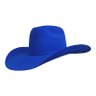 TheBlueTexan's profile picture