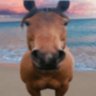 Фото профиля Like, At Least 200 Horses