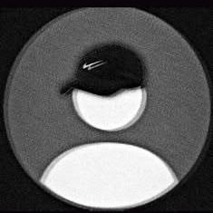 bellakkoo's profile picture