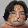 Gato con pulgas's profile picture