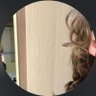 𝒮's profile picture
