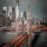Фото профиля Yerac Mitchell