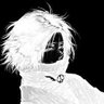 Profilbild von NeonAU