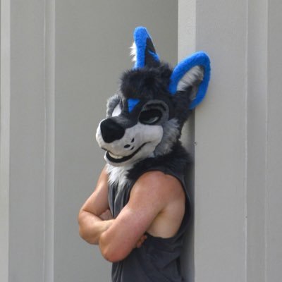voltwolp's profile picture