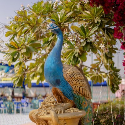 anukram5's profile picture