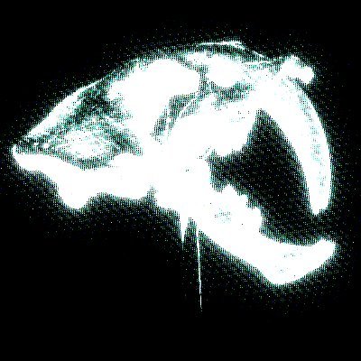 roach's profile picture