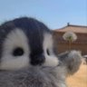idkmn's profile picture